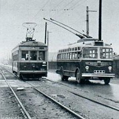 web_dora's profile picture. 京都市で生まれ東京・埼玉で暮らし、転勤で岡山市に赴任した70歳の独身爺猫。まだ現役で仕事はWEB。休日のたびに日本国内の何処かに一人旅しています。日本国内の鉄道駅を全て訪れて写真に残す夢を追いかけています。残された時間はたぶん少ないので達成できるかは微妙。無言フォロー歓迎。エロ＆出会い系、副業系などはNG。