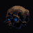 brullov_grp's profile image