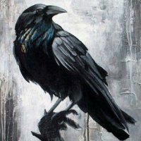 Varis (@ogulcand) 's Twitter Profile