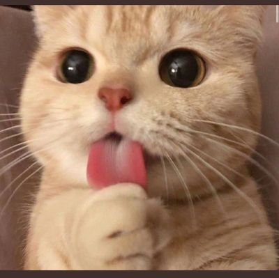 TouilSoso's profile picture. brokeman