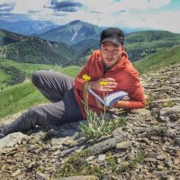 Luis Palazzesi (@lpalazzesi) 's Twitter Profile