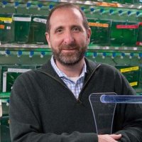 richard white - @whitefishlab Twitter Profile Photo