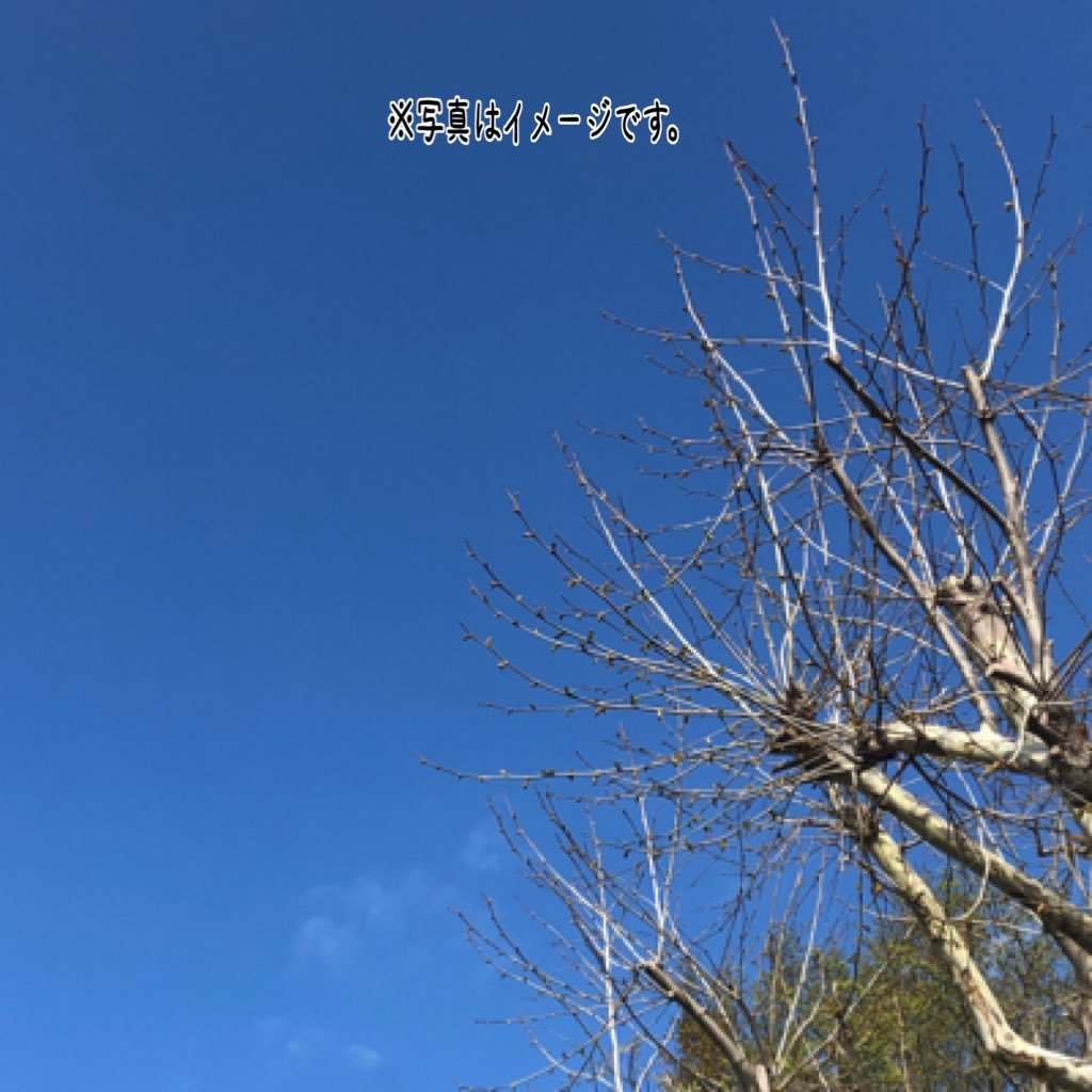 t10y8123's profile picture. 