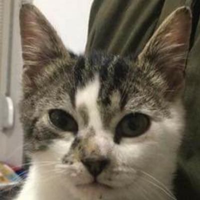 BMatiozio's profile picture. 