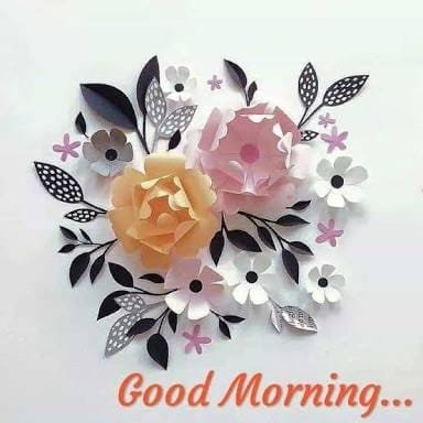 iamansh123's profile picture. Who I m