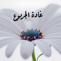 غادة الجربوع (@gadah1235) 's Twitter Profile Photo غادة الجربوع (@gadah1235) 's Twitter Profile Photo