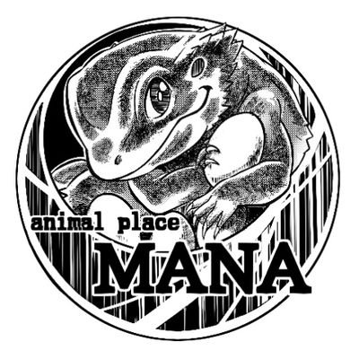 animalplacemana Profile Picture