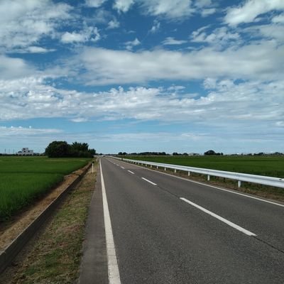 kasou_tuukaB's profile picture. 