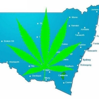 Medicinal Cannabis patient campaigning for real #cannabis law reform in New South Wales, Australia 🇦🇺.