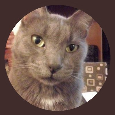 Menganocat Profile Picture