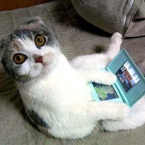 DS_Storee's profile picture. へいお待ち🍣🍺