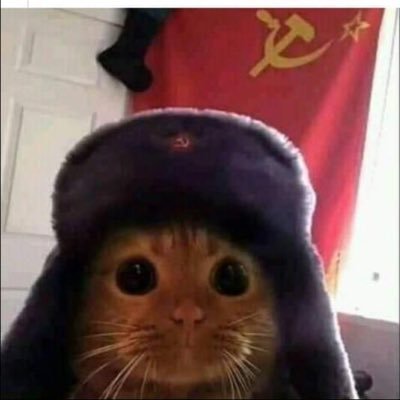 A veces hago fotos
