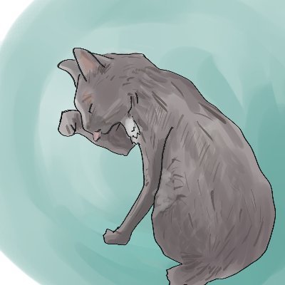 のりさんのプロフィール画像