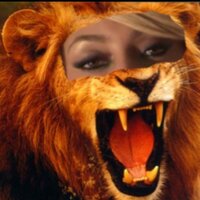 Aslan the lion - @TeamKeri_Narnia Twitter Profile Photo