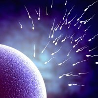 Trusted_Fertility (@trustedfertili1) 's Twitter Profile