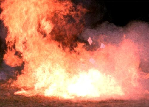 whammyalcazaren's profile picture. 