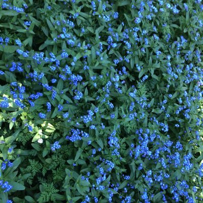 JillSakai's profile picture. 