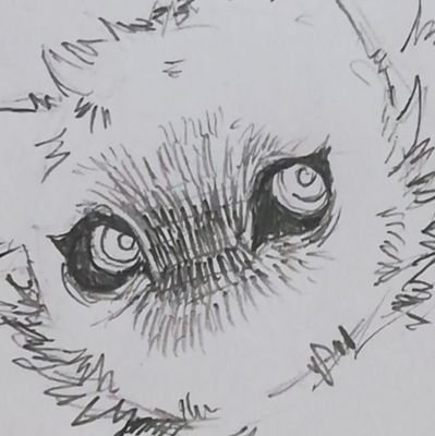 Daruma in the wrong wayさんのプロフィール画像
