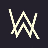 AlanWalkerMusic (@walkerskingdom_) 's Twitter Profile