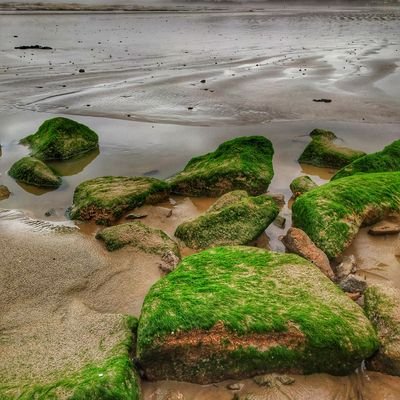 reformistmind's profile picture. we have to change
views are strictly personal
Retweets are not endorsement