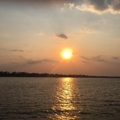 sunnyboy128's profile picture. 