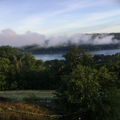 Countess Sue Profile