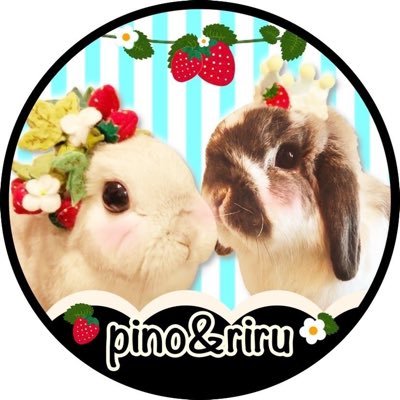 NAHO🐰🌼さんのプロフィール画像