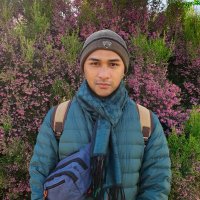 sonyw (@sonew00) 's Twitter Profile