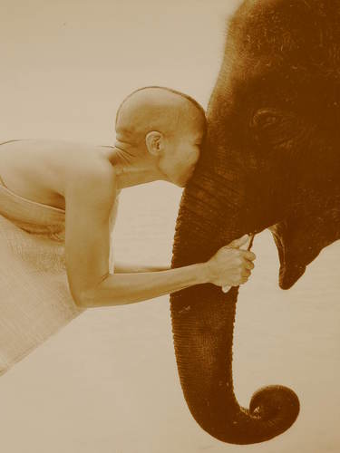 travelnick's profile picture. Augustine sums it up best: The world is a book and those that don't travel only read one page. Take the step and love the adventure-- it's the ultimate teacher.