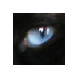 Rich Jensen (@richajensen) Twitter profile photo Rich Jensen (@richajensen) Twitter profile photo