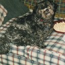 John Flood - @gizmo2765 - Twitter