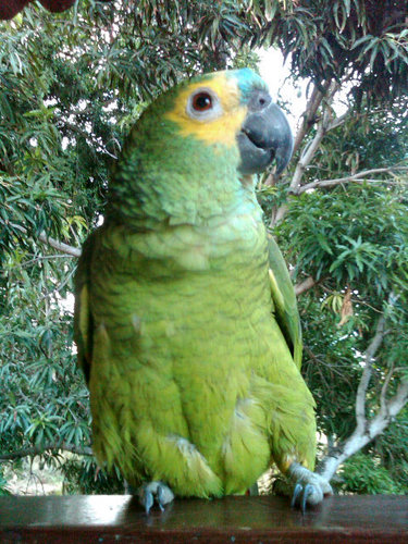 fernandoiecp's profile picture. ✈ 🌎