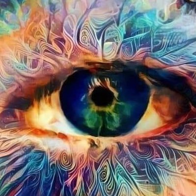 ren63302463's profile picture. 