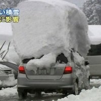 ドカ雪 (@tsumorisugi) Twitter profile photo