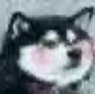 jiajing_Ding's profile picture. ハロ⸜(*˙꒳˙* ིྀ)⸝