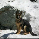 judy smithson - @chaos7775 - Twitter