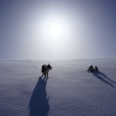 laurocera's profile picture. Qui vol fer alguna cosa cerca un estri, qui no, una excusa.Faig muntanya i esquí de muntanya.