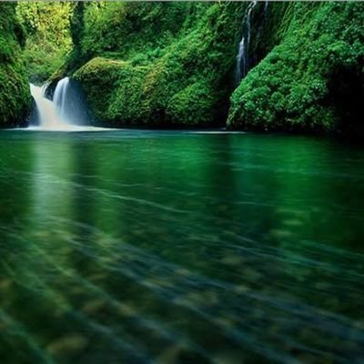 AasnaAqeel's profile picture. ...........