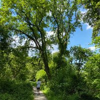 Gabriel (@gabberspeck) 's Twitter Profile