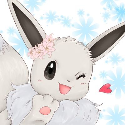 shirohanaさんのプロフィール画像