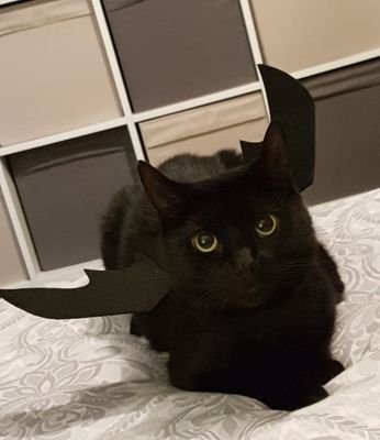 Fizzybubbly1982's profile picture. 