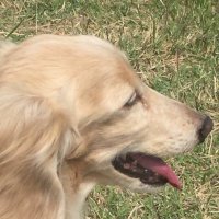 みつき (@mlvm8o14yp3fbvt) 's Twitter Profile