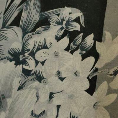 Yennisant's profile picture. 