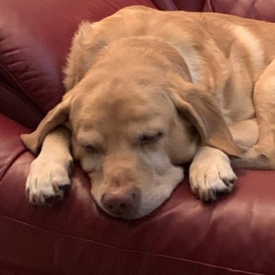 ikelly68566395's profile picture. 