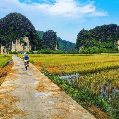 NinhbinhG's profile picture. Places to stay, Sight seeing places, Restaurants, Tour informations, etc. around Ninh Binh City