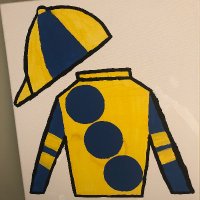 Daddy’s Dip Racing Stable (@daddysdipracing) 's Twitter Profile
