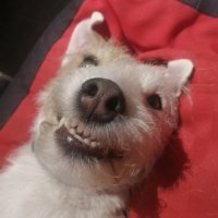 sandra_zek 🇨🇵 (@_sandra_zek) 's Twitter Profile