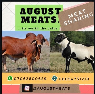August Meats is a platform where different types of meats such as cow meat, goat meat and ram meat are shared equally among interested individuals.