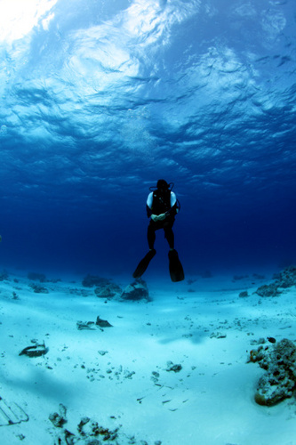 jky8945's profile picture. 능력이 없으면 편히 먹지도 자지도 말라/버블탱크/스쿠버다이빙/다이빙강사/ 스키/ 수중사진/ 카메라/ 여행/ 스노우보드/ 웨이크보드/ 서핑보드/ 야구/SK와이번스/ 엘지트윈스/두산베어스/책/운동/스포츠/레포츠/사람을 좋아하고 바다를 사랑하는 남자^^