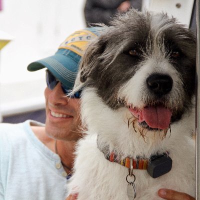 A J Hammer Ajhammer Twitter